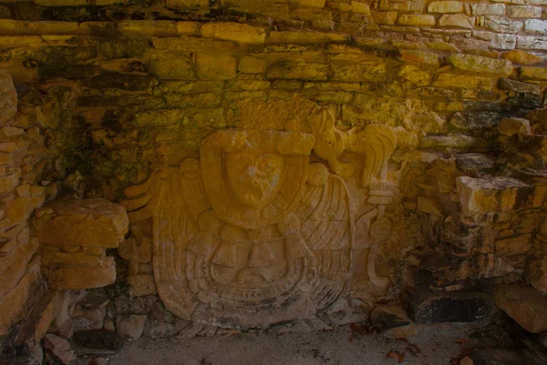 Palenque, Chiapas, Mexico. Ancient Mayan carved relief with in temple ruins. — Stock Photo, Image