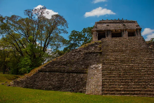 Palenque, Chiapas, Mexico: Oude Maya piramide met stappen tussen de bomen bij zonnig weer — Stockfoto