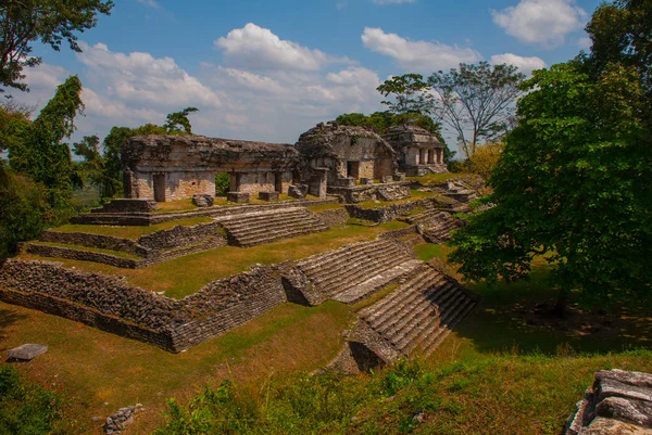 Palenque, Chiapas, Mexico: Ancient Mayan city among trees in Sunny weather — Stock Photo, Image
