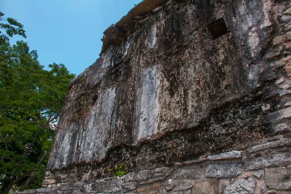 La textura del plan de piedra. Palenque, Chiapas, México . — Foto de Stock