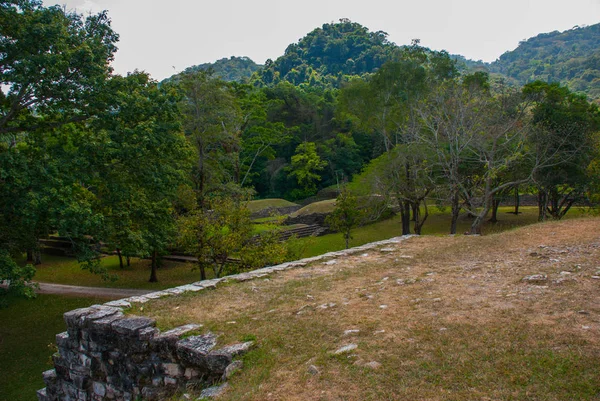 Palenque, Chiapas, Mexico. Bovenaanzicht van de jungle en de oude Maya stad — Stockfoto