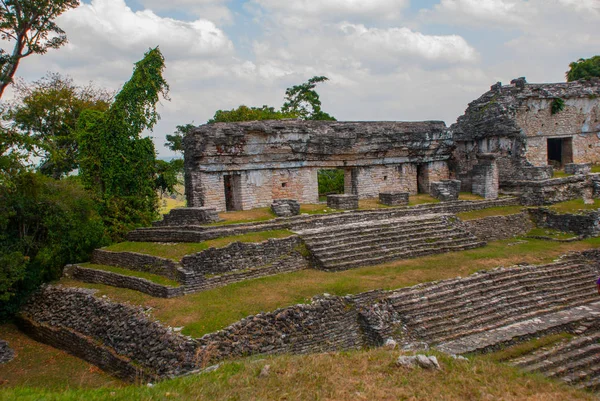 Palenque los restos de una antigua civilización maya, bien conservados en la Selva del estado sureño de Chiapas en el sur de México. Palenque, Chiapas, México . — Foto de Stock