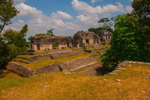 Palenque, Chiapas, Meksika: Güneşli havalarda ağaçlarda arasında Antik Maya şehir
