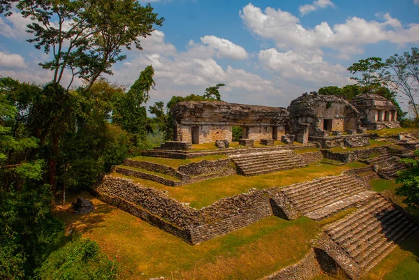 Arkeolojik alan kalıntılar ve ağaçları ile. Palenque, Chiapas, Meksika.