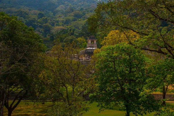 Chiapas, México. Palenque. Paisaje en la antigua ciudad de Maya . — Foto de Stock