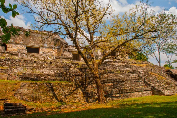 Chiapas, Meksyk. Palenque. Krajobraz w starożytnym mieście Majów. — Zdjęcie stockowe