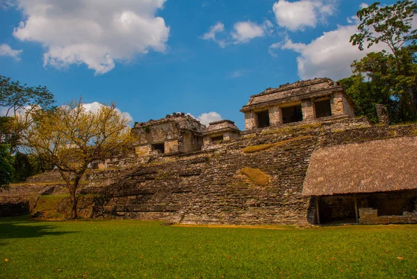 Chiapas, Meksika. Palenque. Maya kuzey-doğusunda Chiapas ve Meksika Devlet içinde büyük şehir kalıntıları