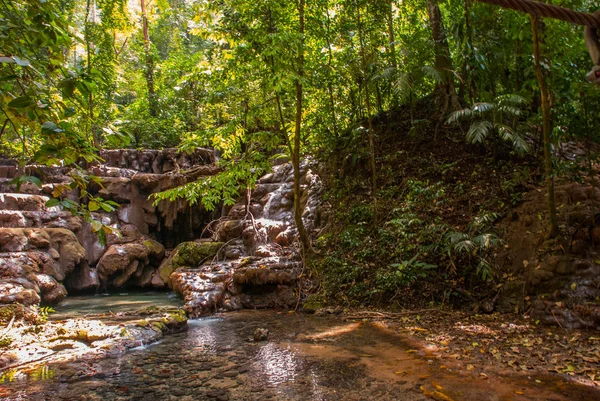 Kleiner Wasserfall. Gebirgsbach im grünen Wald zur Frühlingszeit. Palenque, Chiapas, Mexiko. — Stockfoto