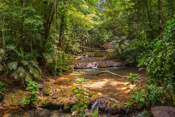 Piccola cascata. Ruscello di montagna nella foresta verde in primavera Palenque, Chiapas, Messico . — Foto Stock