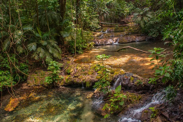 Palenque, Chiapas, Mexiko. Gebirgsbach im grünen Wald — Stockfoto