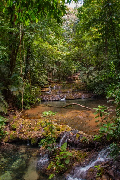 Kleiner Wasserfall. Gebirgsbach im grünen Wald zur Frühlingszeit. Palenque, Chiapas, Mexiko. — Stockfoto