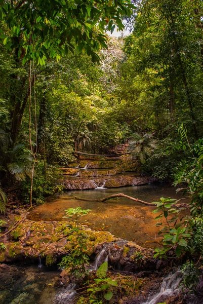 Palenque, Chiapas, Mexiko. Gebirgsbach im grünen Wald — Stockfoto