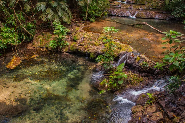 Palenque, Chiapas, México. Arroyo de montaña en bosque verde —  Fotos de Stock