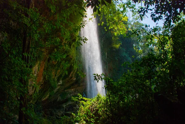 Καταρράκτης Misol Ha μεταξύ πράσινα φύλλα. Palenque, Τσιάπας, Μεξικό — Φωτογραφία Αρχείου
