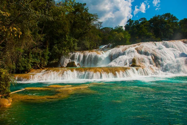 Cascadas de agua azul Wasserfälle. agua azul. Yucatan. Mexiko — Stockfoto