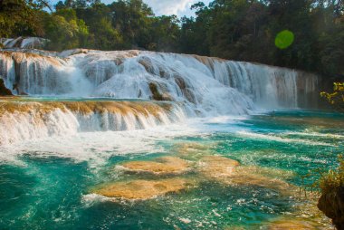 Agua Azul, Chiapas, Palenque, Meksika. Yeşil ağaçlarıyla çevrili bir turkuaz havuzlu muhteşem bir şelale peyzaj.