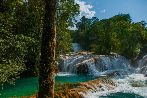 Cascada en México. Impresionante cascada Agua Azul cerca de Palenque. Chiapas . — Foto de Stock