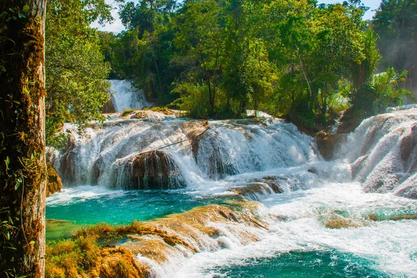 Paesaggio con cascata Agua Azul, Chiapas, Palenque, Messico — Foto Stock