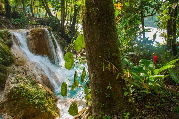 Herrlicher wasserfall in mexiko, schöne landschaft mit blick auf den wasserfall agua azul in der nähe von palenque. Chiapas. — Stockfoto