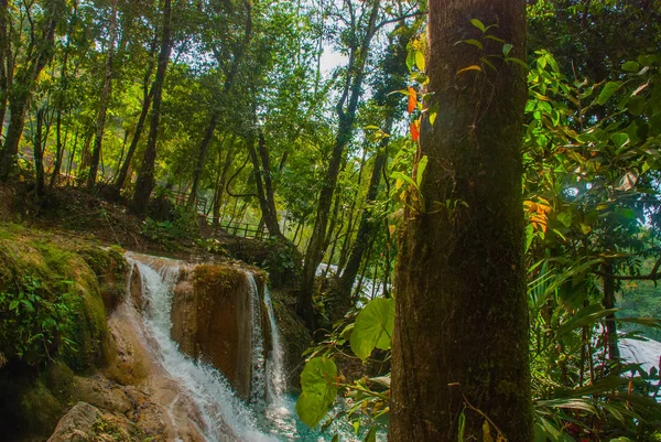 Paesaggio con favolosa cascata Agua Azul, Chiapas, Palenque, Messico — Foto Stock