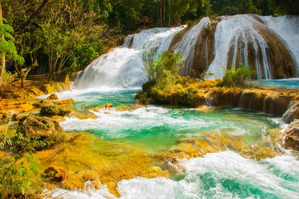 Magnífica cachoeira no México, bela paisagem com vista para a cachoeira Água Azul perto de Palenque. Chiapas . — Fotografia de Stock