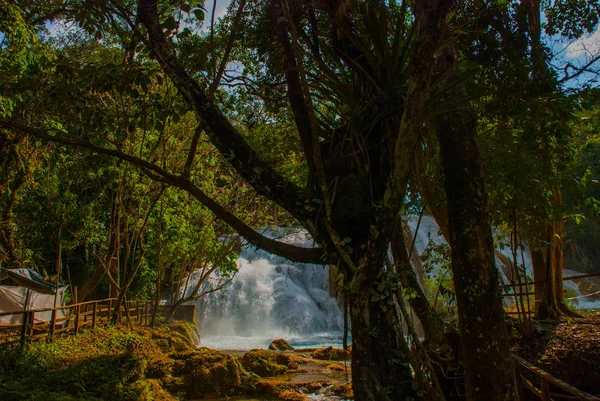Пейзаж с водопадом Агуа Азул, Чьяпас, Паленке, Мексика — стоковое фото