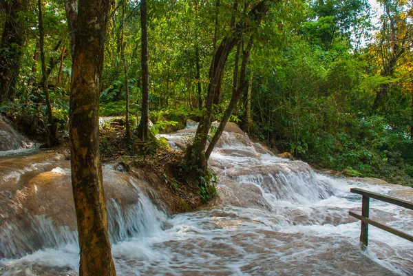 Agua azul, chiapas, palenque, mexiko. Wasser fließt durch die Felsen. wunderschöne Wasserfall-Landschaft im Wald. — Stockfoto