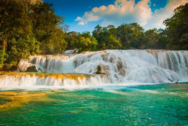 Agua azul, chiapas, palenque, mexiko. Blick auf den beeindruckenden Wasserfall mit türkisfarbenem Pool umgeben von grünen Bäumen. — Stockfoto