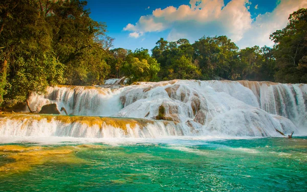 Blick auf den erstaunlichen Wasserfall mit türkisfarbenem Pool umgeben von grünen Bäumen. agua azul, chiapas, palenque, mexiko — Stockfoto