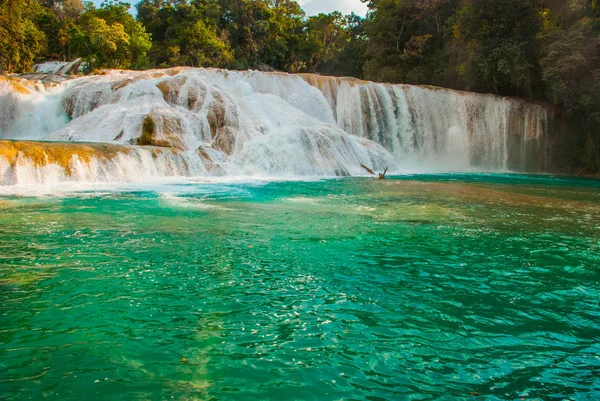 Agua azul, chiapas, palenque, mexiko. Blick auf den beeindruckenden Wasserfall mit türkisfarbenem Pool umgeben von grünen Bäumen. — Stockfoto