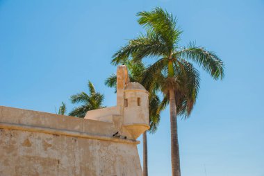San Francisco de Campeche, Mexico: eski kale duvarı, giriş ve palmiye ağaçları