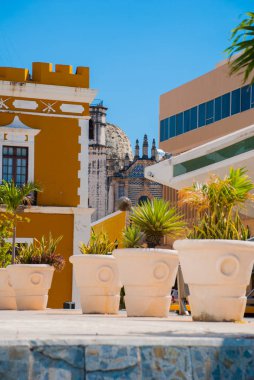 San Francisco de Campeche, Meksika: görmek saksı çiçekler ve eski San Jose Katedrali. Bu, şimdi Campeche Kültür Merkezi Jesuit Manastırı Maya oldu.