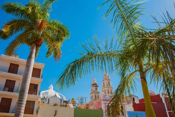 San Francisco de Campeche, México. Vista de las casas y palmeras, a lo lejos se encuentra la Catedral de Campeche — Foto de Stock