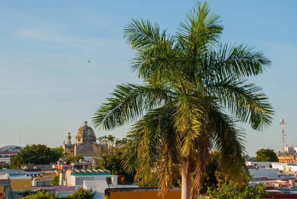 San Francisco de Campeche, Mexiko: pohled z bývalé Katedrála San Jose. To byla hlavní chrám jezuitského kláštera, nyní kulturní středisko v Campeche. — Stock fotografie