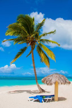 Holguin, Küba, Playa Esmeralda. Güzel Karayip Denizi turkuaz mavi renk ve palmiye ağaçları sahilde. Şezlong ve şemsiyeler turistler için
