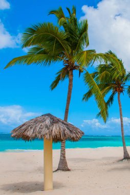 Playa Esmeralda, Holguin, Küba. Karayip Denizi. Güzel Cennet plaj: şemsiye, deniz, palmiye ağaçları, kum.