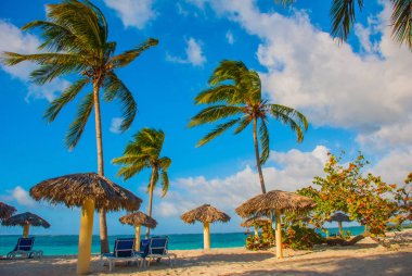 Playa Esmeralda, Holguin, Küba. Karayip Denizi. Güneşli havalarda palmiye ağaçları ile Cennet plaj