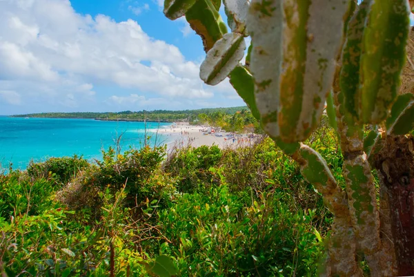 Playa Esmeralda, Holguin, Kuba. Vacker strand bay turkost havsvatten och cactus. — Stockfoto