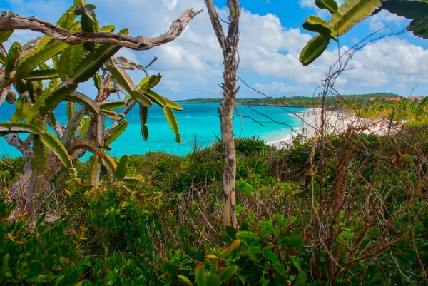 Playa Esmeralda, Holguin, Kuba. Vacker strand bay turkost havsvatten och cactus. — Stockfoto