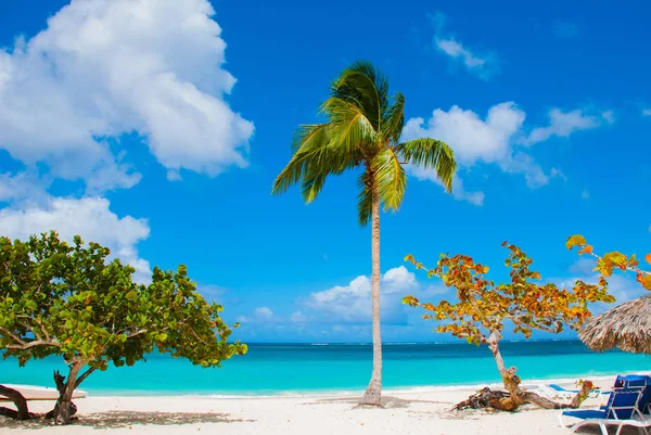 Holguín, Cuba, Playa Esmeralda. Hermoso mar del Caribe color azul turquesa y palmeras en la playa . — Foto de Stock