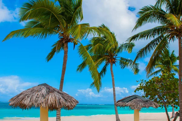 Playa Esmeralda, Holguin, Cuba. Mar do Caribe. Praia do paraíso bonito: guarda-chuvas, mar, palmeiras, areia . — Fotografia de Stock