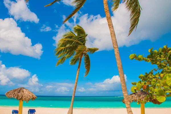 Holguín, Cuba, Playa Esmeralda. Hermoso mar del Caribe de color azul turquesa y palmeras en la playa. Tumbonas y sombrillas para turistas — Foto de Stock