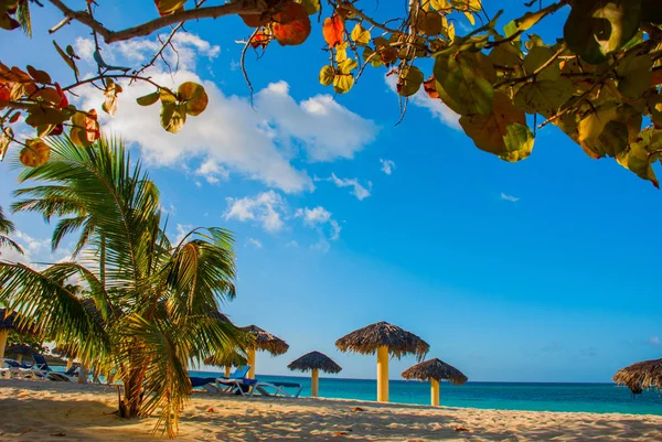 Playa Esmeralda, Holguin, Cuba. Mar das Caraíbas: deslumbrante vista deslumbrante de uma praia de areia branca tropical e tranquilo oceano azul-turquesa — Fotografia de Stock