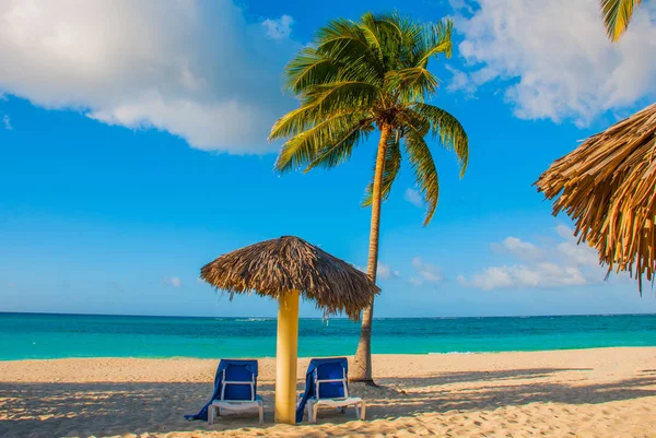 Holguín, Cuba, Playa Esmeralda. Paraguas y dos sillones alrededor de palmeras. Playa tropical en el mar Caribe . — Foto de Stock