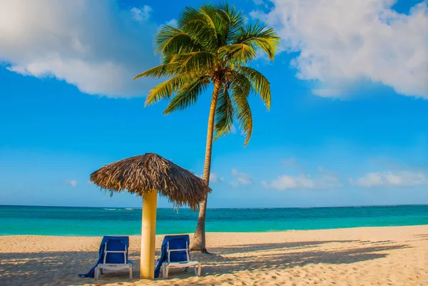 Umbrella and two lounge chairs around palm trees. Tropical beach. Caribbean sea, Holguin, Cuba, Playa Esmeralda.