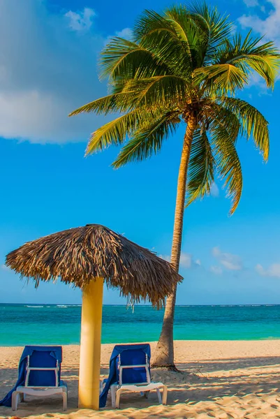 Holguín, Cuba, Playa Esmeralda. Paraguas y dos sillones alrededor de palmeras. Playa tropical en el mar Caribe . — Foto de Stock