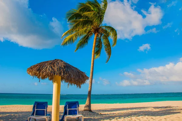 Holguín, Cuba, Playa Esmeralda. Paraguas y dos sillones alrededor de palmeras. Playa tropical en el mar Caribe. Paraíso paisaje — Foto de Stock