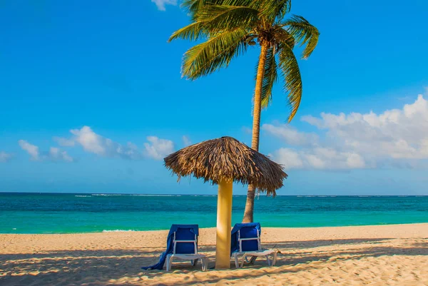 Playa Esmeralda, Holguín, Cuba. Mar Caribe: dos tumbonas, sombrilla, palmera en la playa, en el fondo del océano azul turquesa — Foto de Stock