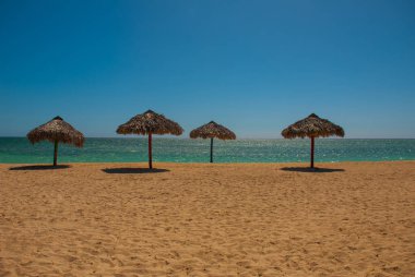 Şemsiye güzel sahilde bulunmaktadır. Küba. Trinidad. Ancona Beach. Karayip Denizi.