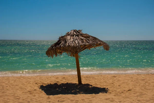 Os guarda-chuvas estão na bela praia. Cuba. Trinidad. Praia de Ancona. Mar das Caraíbas . — Fotografia de Stock